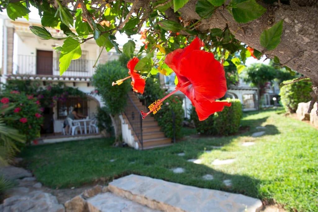 Casa En Con Piscina Y Jardin Appartement *