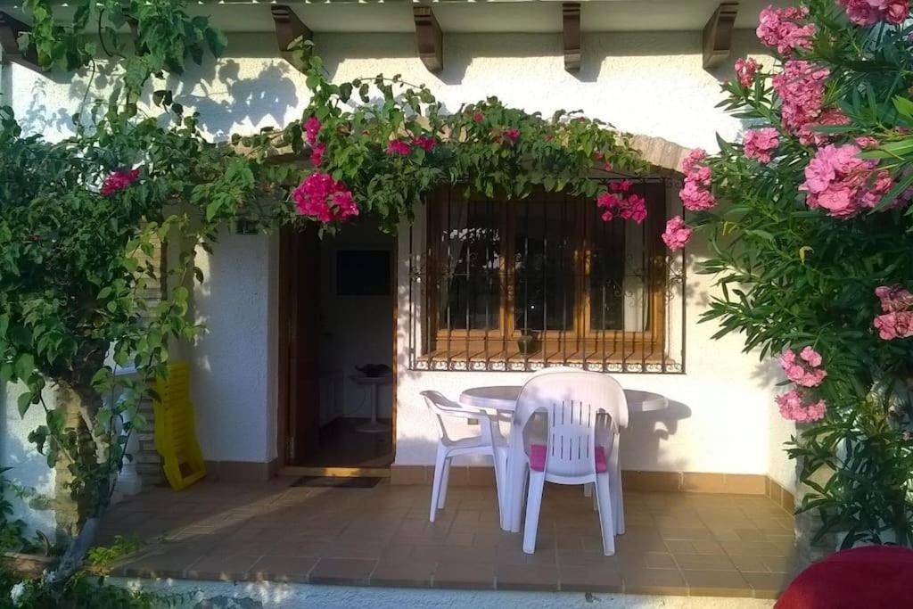 Casa En Con Piscina Y Jardin Appartement
